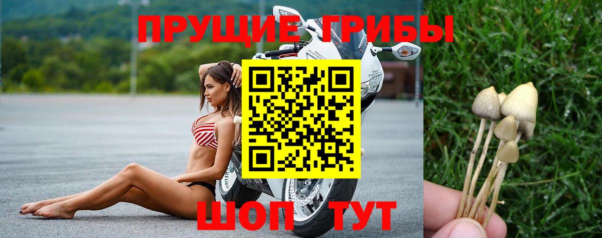 Псилоцибиновые грибы Magic Shrooms  Вход с VPN  Карачаевск 