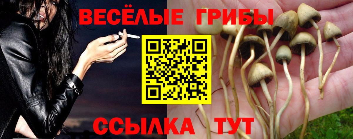 Галлюциногенные грибы мицелий Карачаевск
